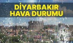 Diyarbakır'da bugün yağış var mı?